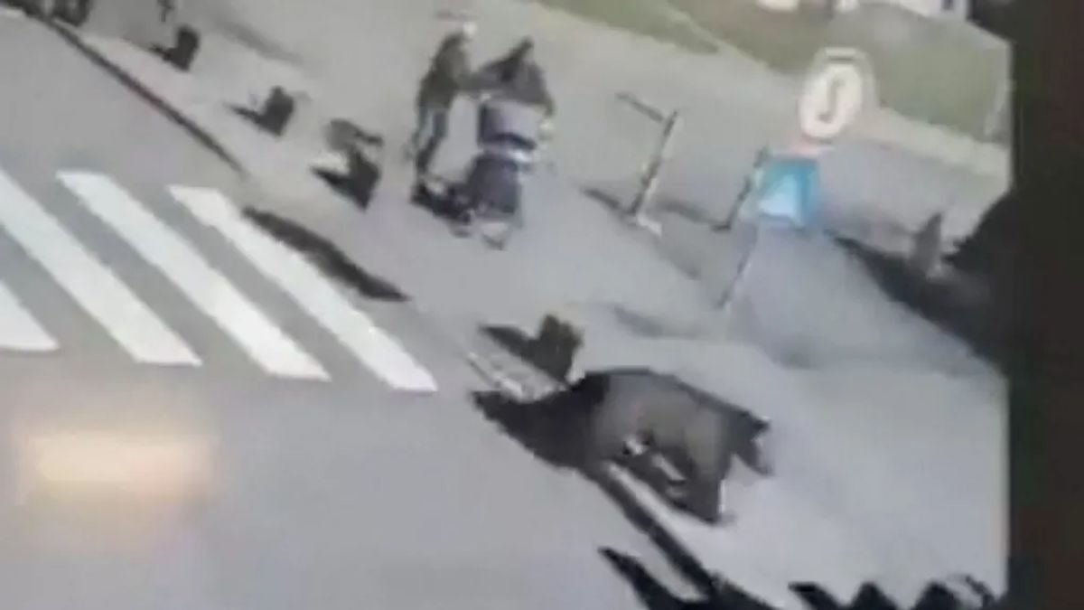 Öt embert sebesített meg az utcán dühöngő medve Szlovákiában (VIDEÓ)