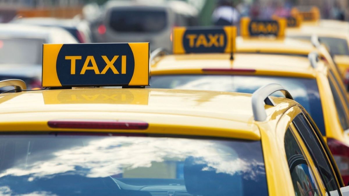 Nagy taxis hiénát kapott el a rendőr Budapesten