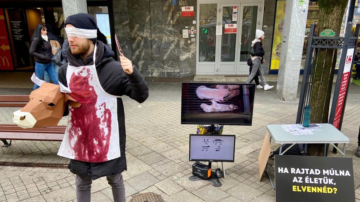 Templom előtt felállított kereszttel és művérrel provokált Budapesten egy vegán csoport húsvét alkalmából