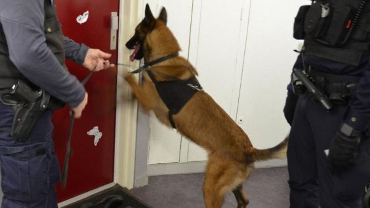 Újabb problémát kellene megoldania Macronnak, méghozzá sürgősen