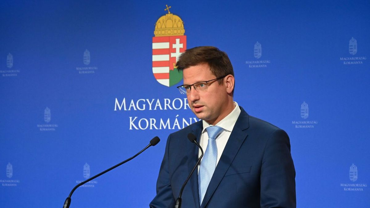 Új információk érkeztek Gulyás Gergely állapotáról