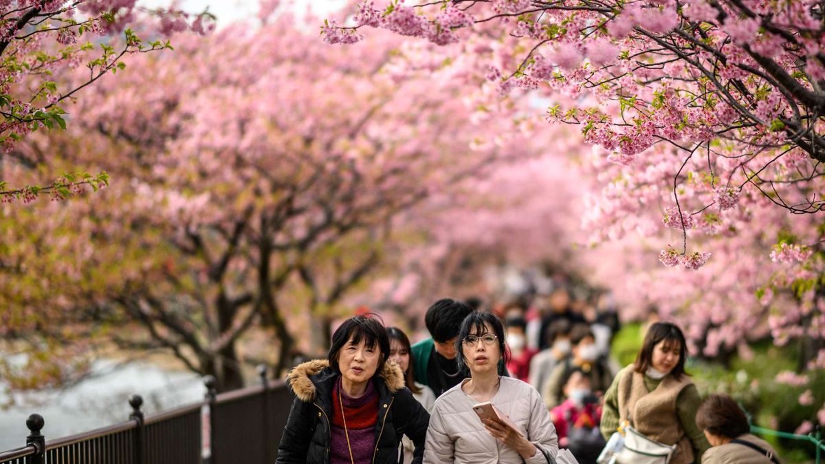 Vészterhes japán idők: veszélyben az ország ősi, turistacsalogató szimbóluma