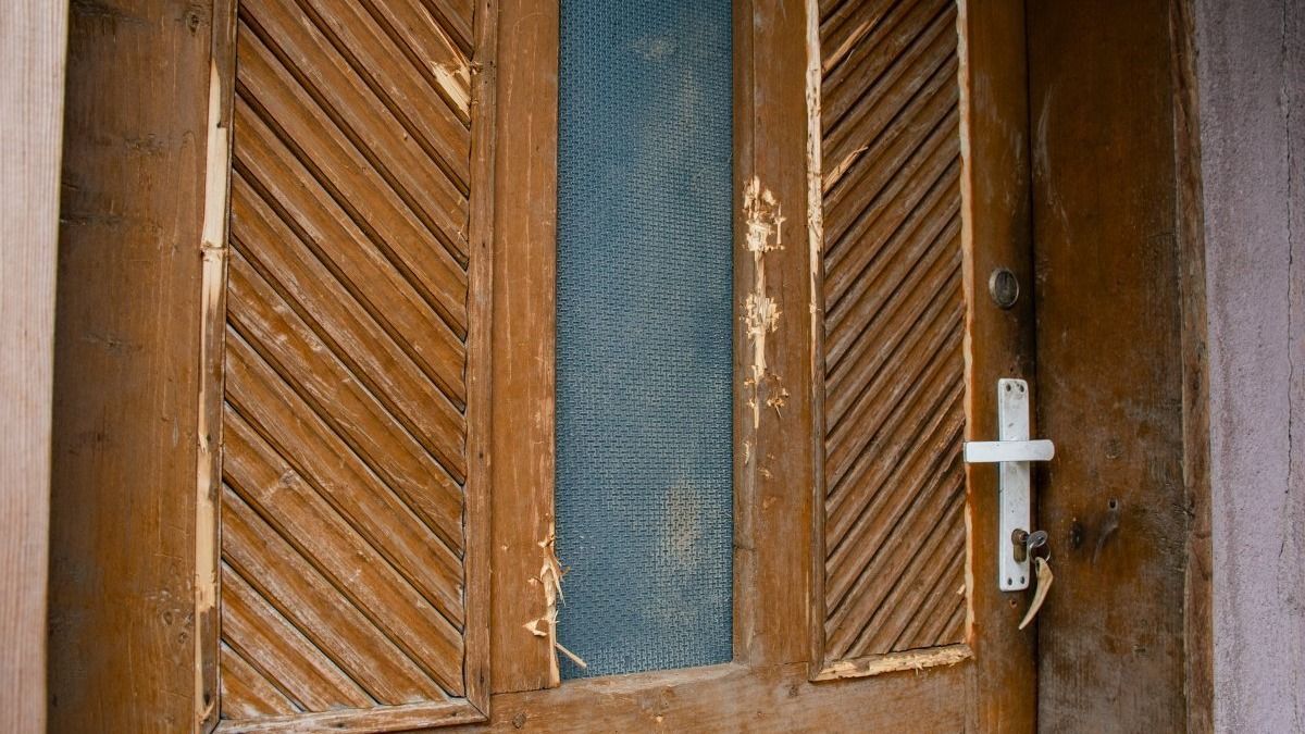A küszöbig jött a medve, aztán nekizúdult a bejárati ajtónak
