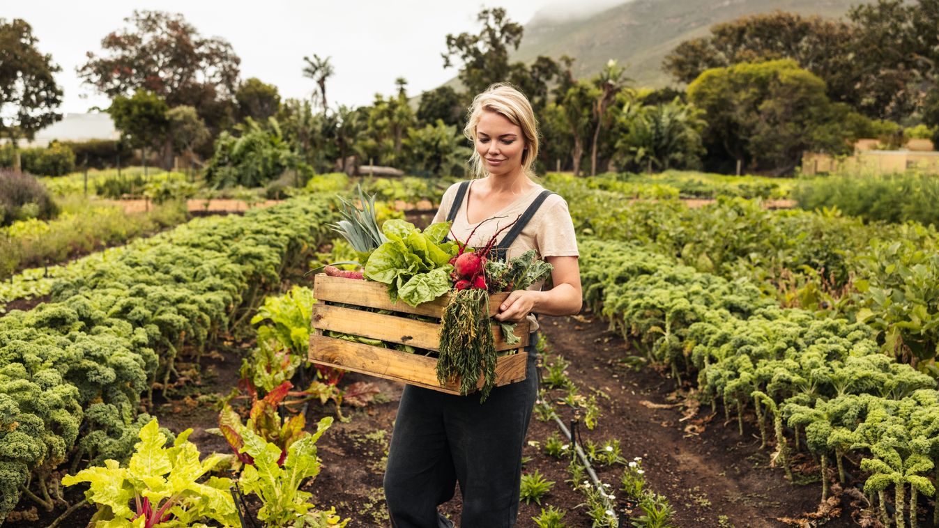 Cheerful,Organic,Farmer,Holding,A,Box,With,Fresh,Vegetables.,Young