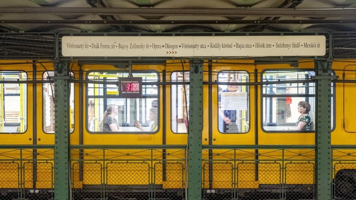 Elképesztő magyar siker: a kisföldalattit a világ legjobbjai közé sorolták!