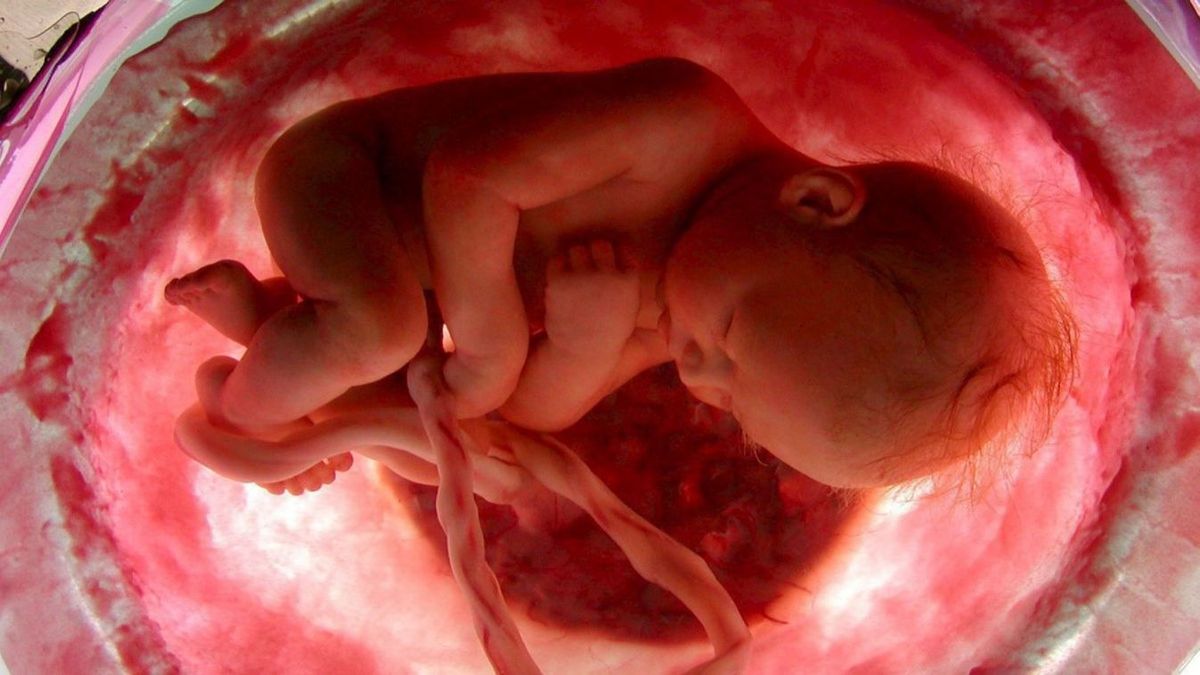 Horror Prágában: tévedés miatt rossz kismamán hajtottak végre abortuszt