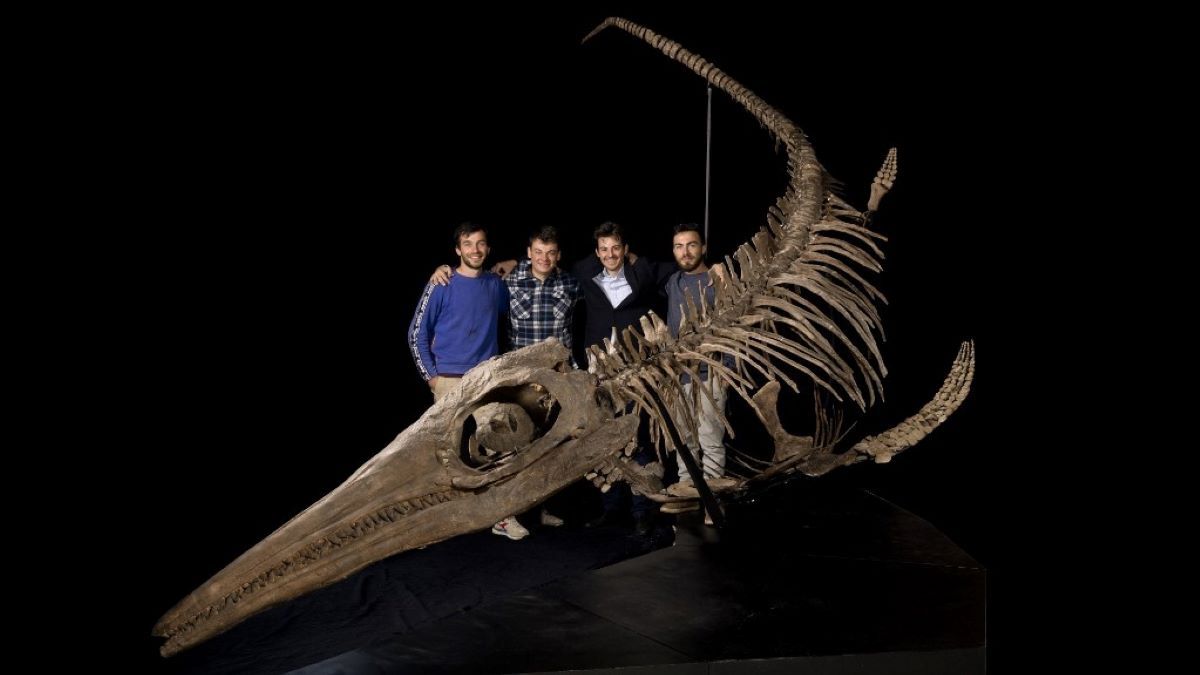 Erre senki sem számított: a Loch Ness-i szörnynél is nagyobb hüllőt találtak Anglia partjainál