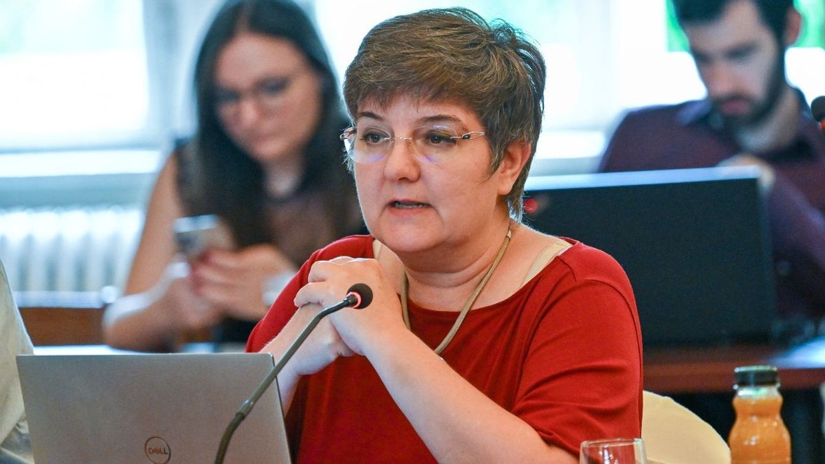 Csárdi Antal: V. Naszályi Márta hosszú idő óta a legrosszabb városvezető