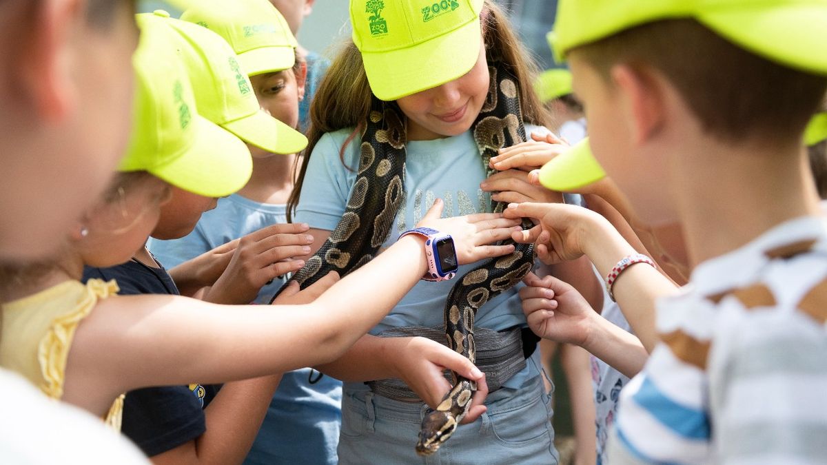 Népszerűek a katonai, a nyelvi és a kalandtáborok, de idén még borsosabb lett az áruk
