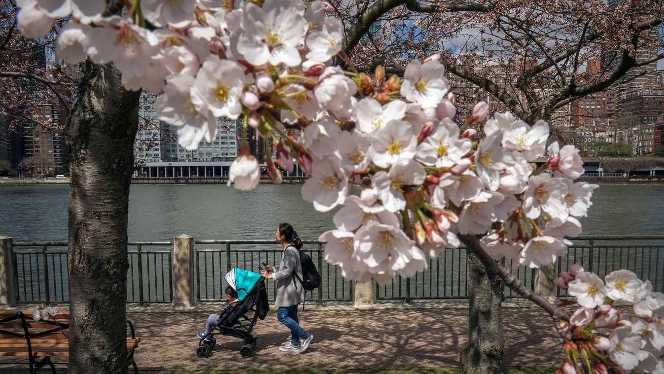 New York City Welcomes Spring Weather To The Region