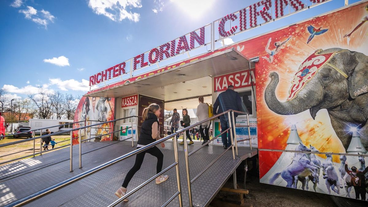 Két és fél méteres tartóoszlop csapódott a nézők közé egy soproni cirkusz előadásán, mutatjuk a cirkusz közleményét