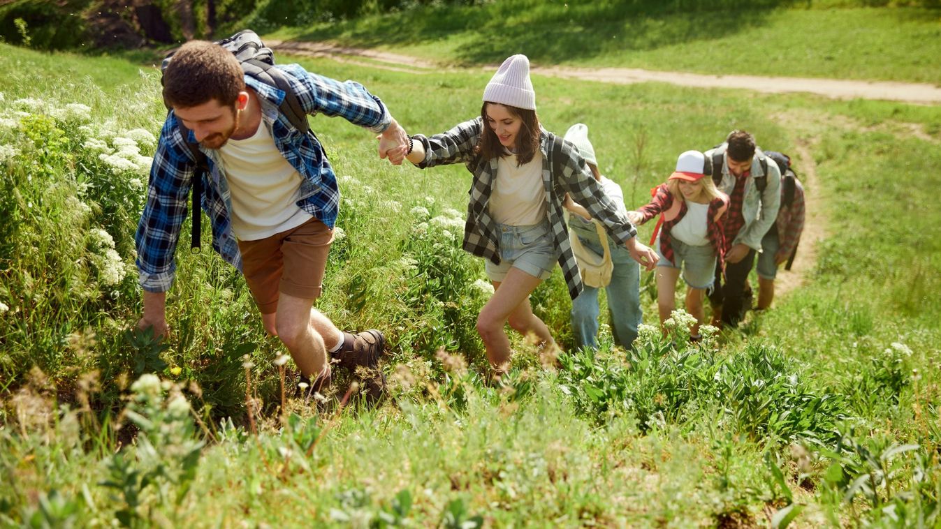 Group,Of,Young,People,,Friends,Walking,In,Forest,,Going,Hiking