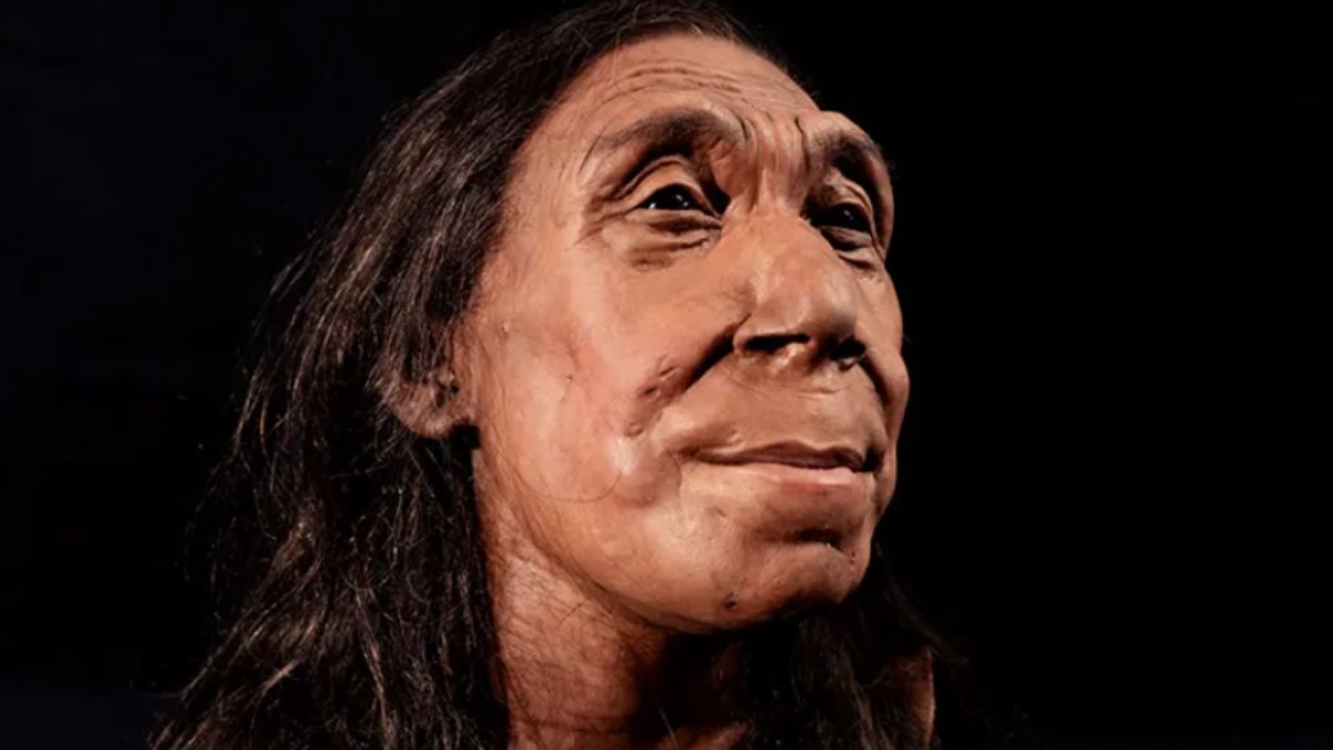 Szinte csodát tettek a tudósok: összetört csontokból állították össze a neandervölgyi ember 3D-s modelljét