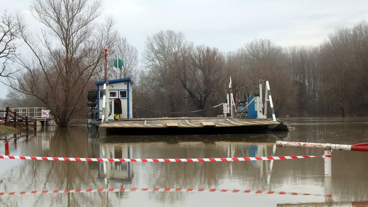 Újabb ukrán állampolgár holttestét találták meg román határőrök a Tiszában