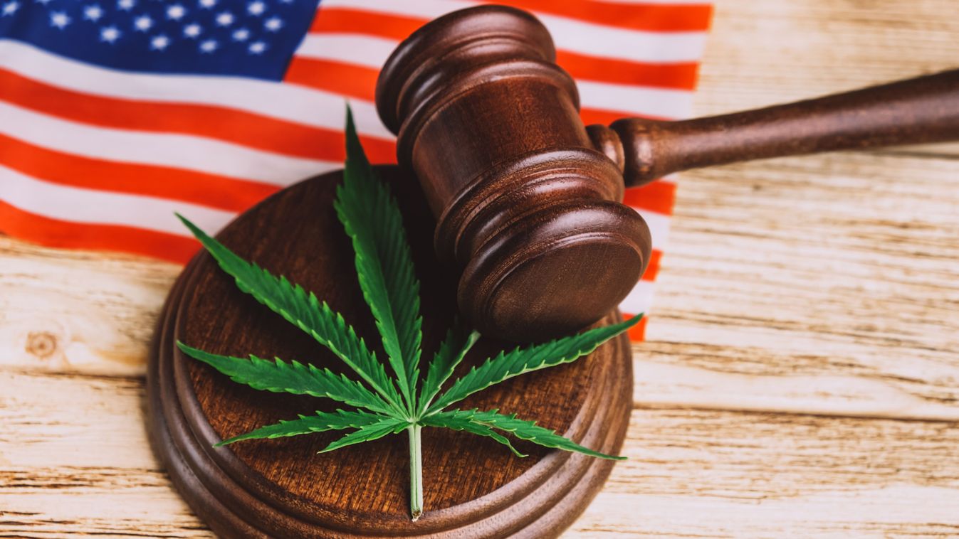 Cannabis leaf on sound block under gavel over US flag.