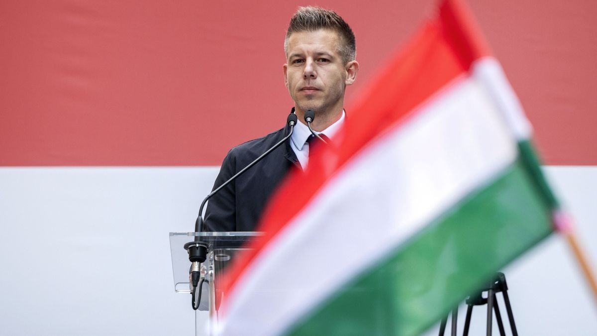 Megérkezett a „szakértő”!