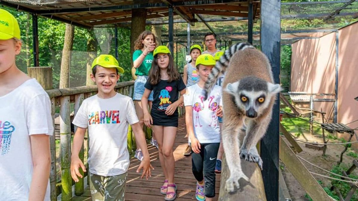 Meditált már Makikkal? Nyíregyházán megteheti (VIDEÓ)