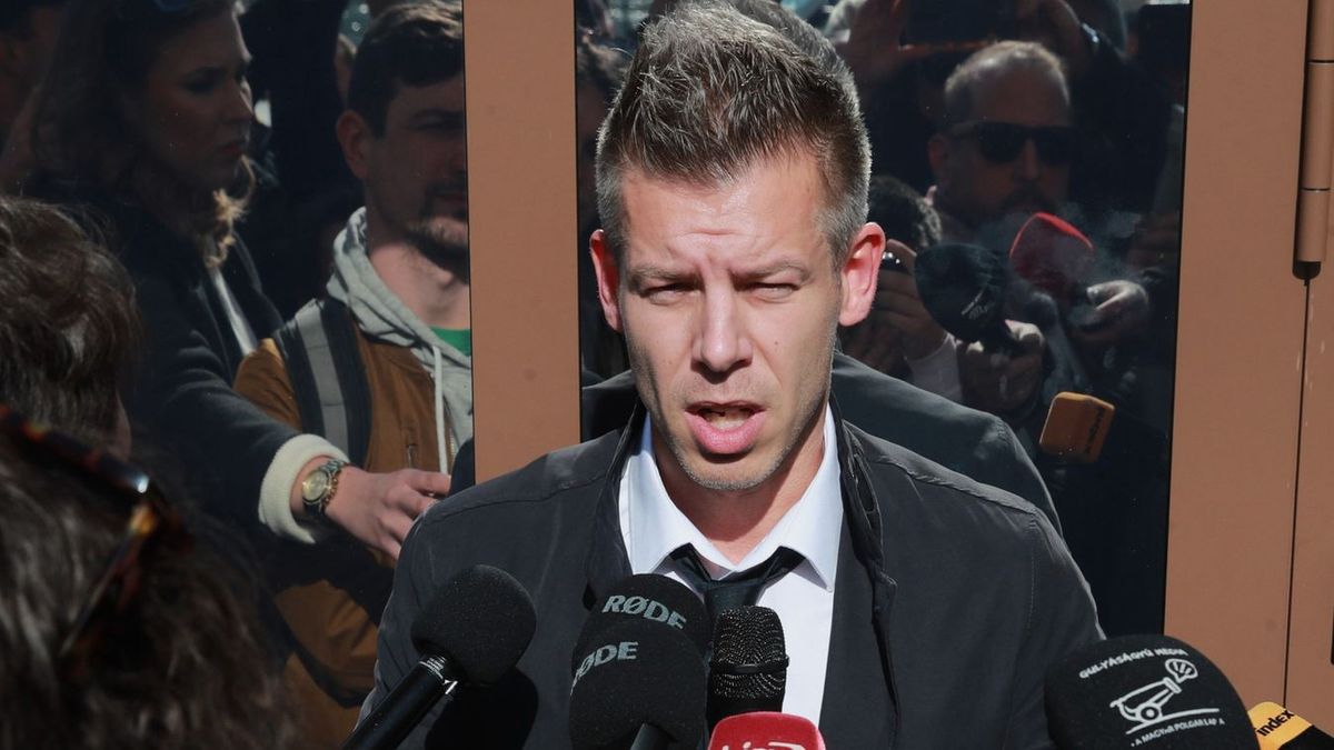 A Soros-hálózathoz köthető Magyar Péter európai parlamenti jelöltje
