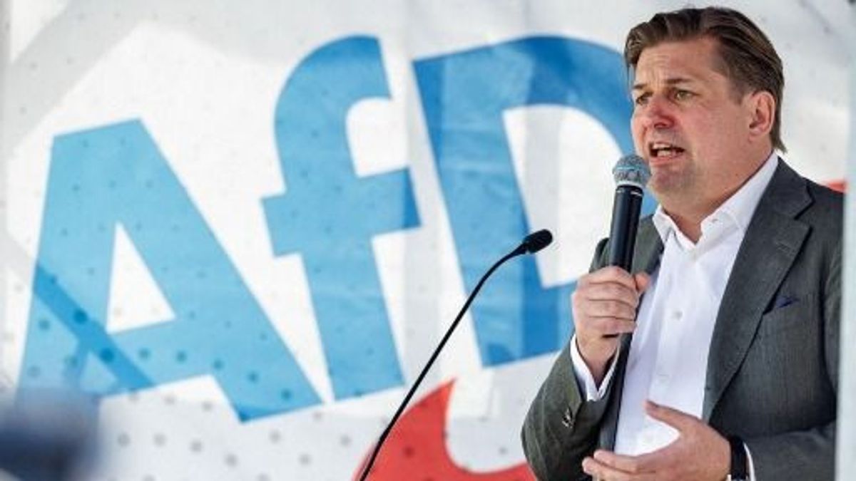 Listavezetőjük elhallgattatásával békítené az AfD Le Penéket