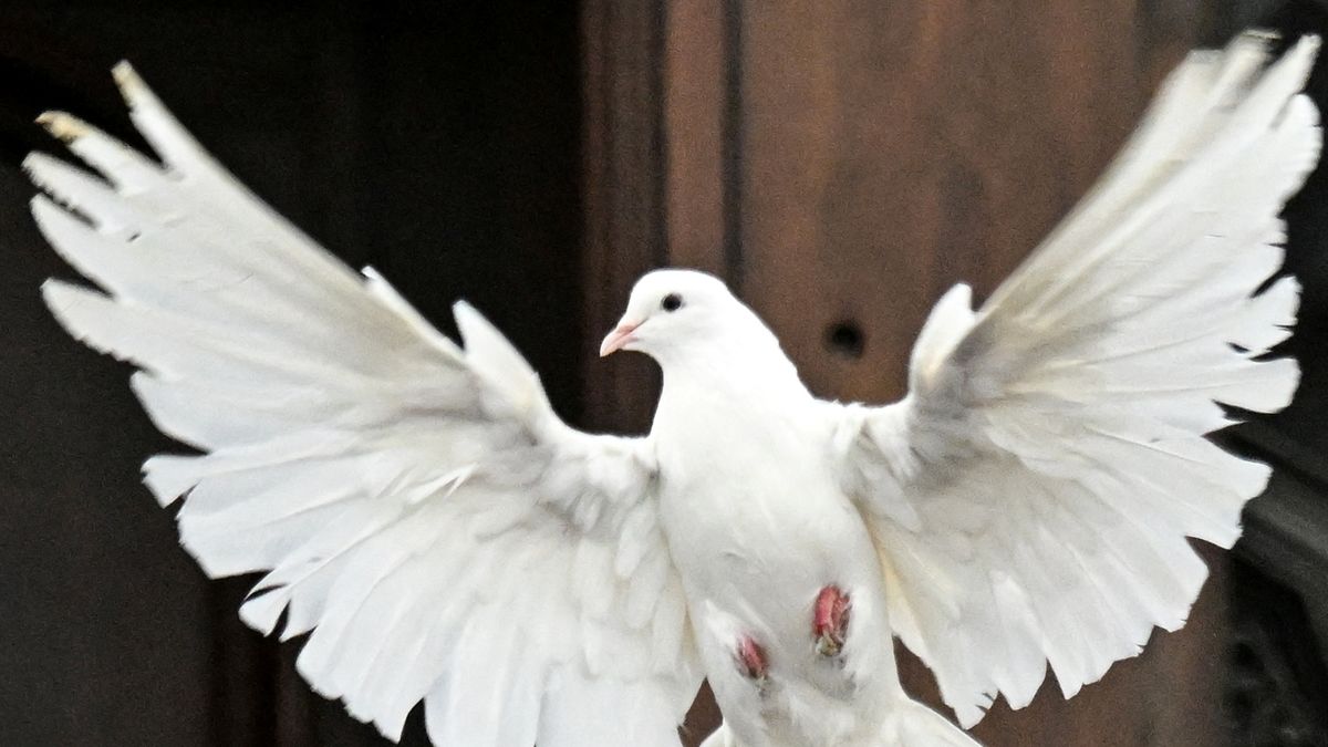 Pünkösd – a Szent Lelket ünnepeljük, vagy mást?