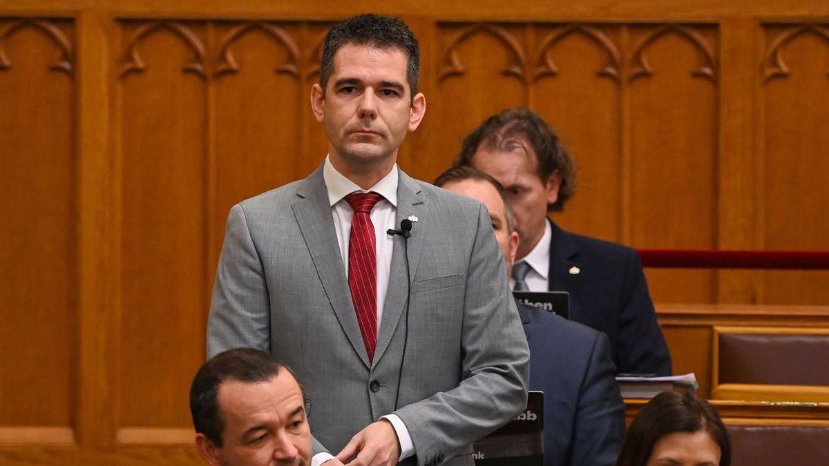 „Szerintem belefér!” – fejtette ki véleményét Novák Előd a Mi Hazánk majálisán történt náci karlendítésről