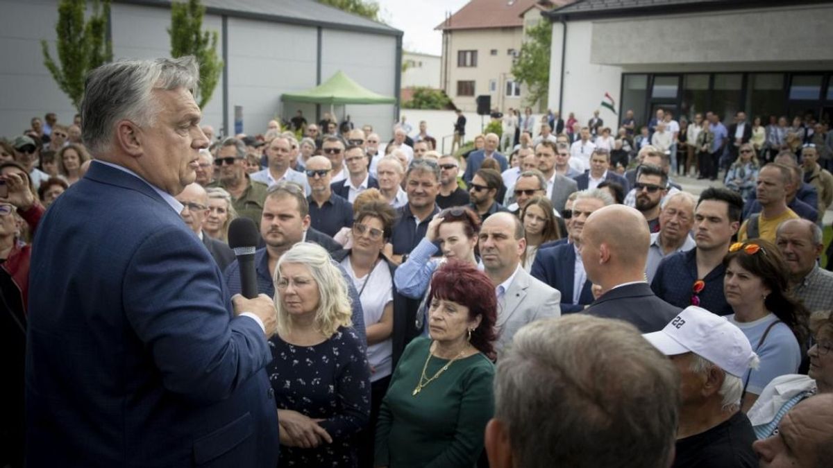 Egy merénylet haszonlesői