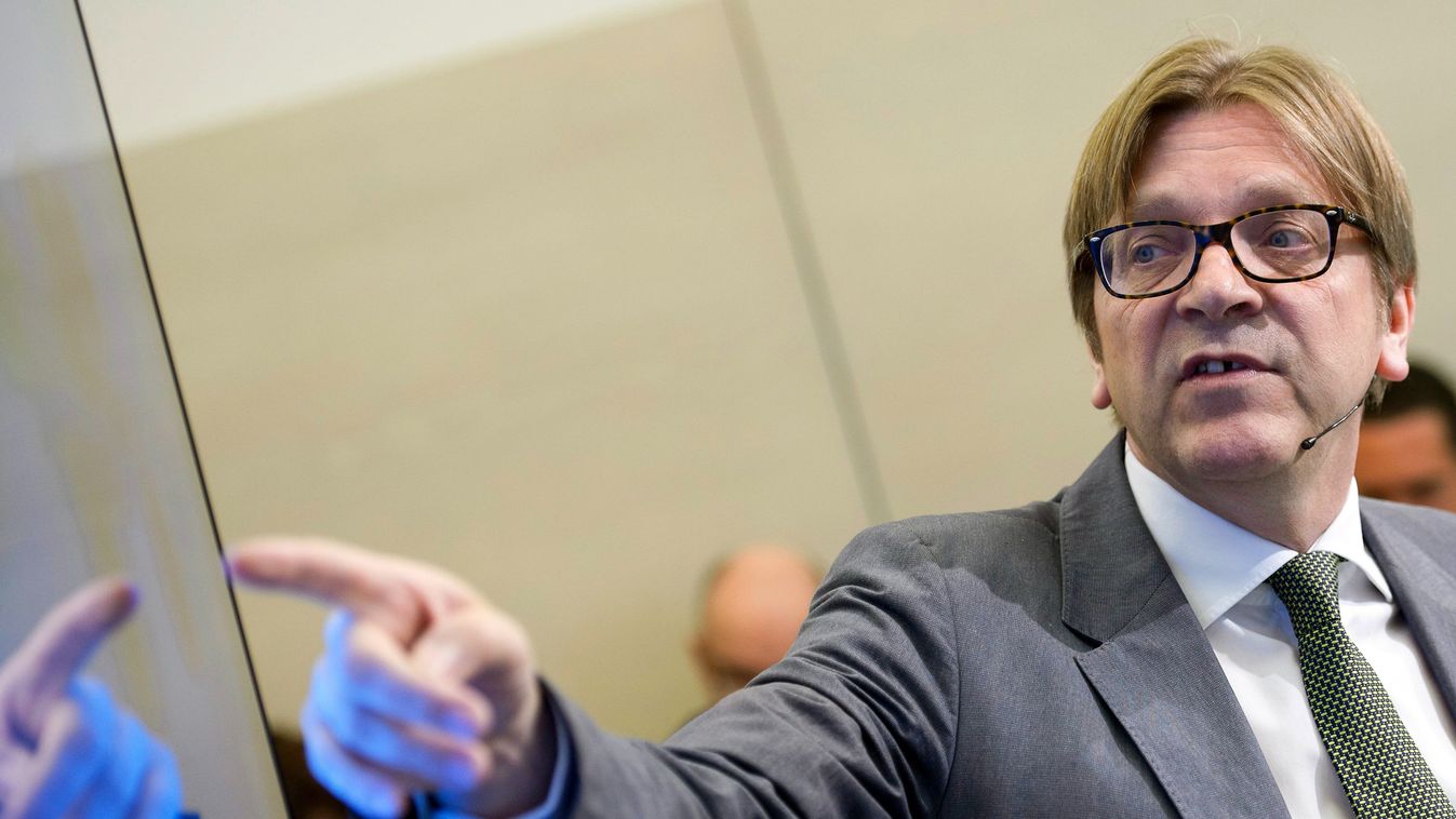 Guy Verhofstadt Announces His Candidacy To Presidency Of EEC Commission