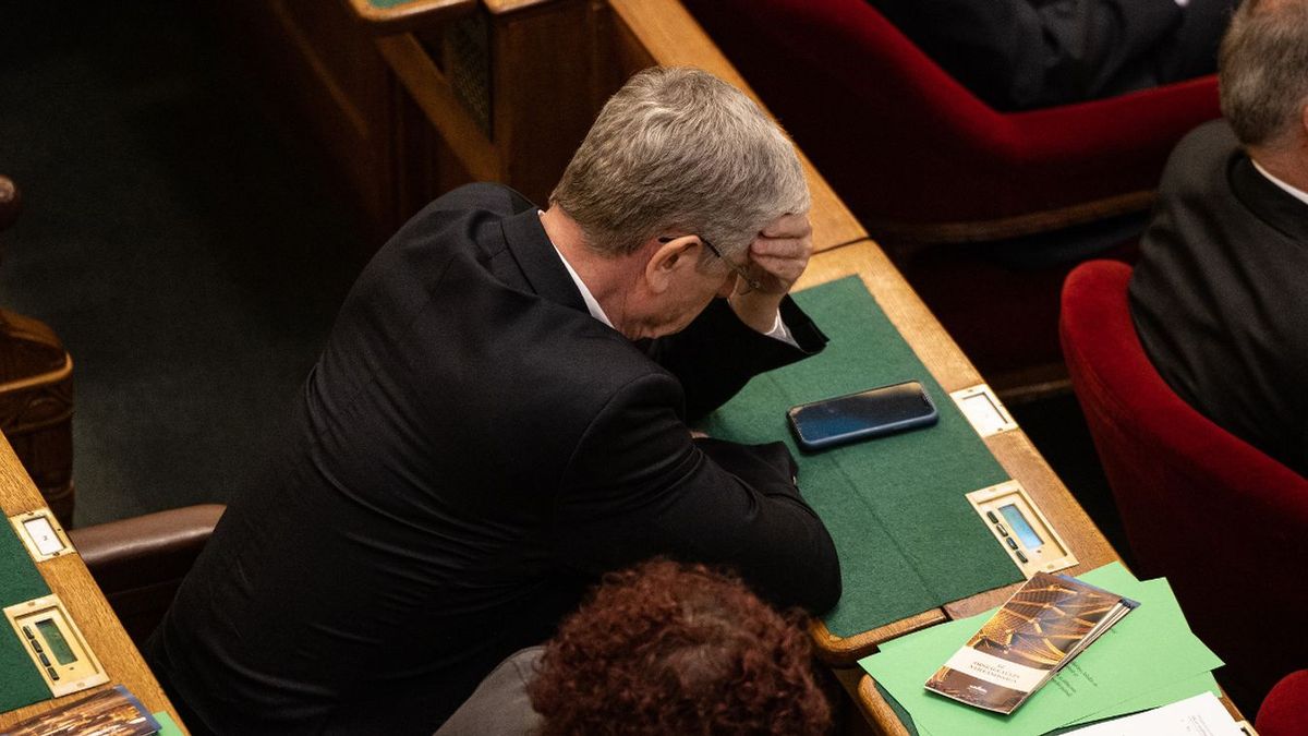 Közmunkára ítélte a bíróság a DK politikusát
