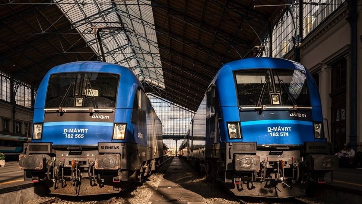 Nem bírja már a MÁV: meglépi a cég, amit sokan vártak tőlük
