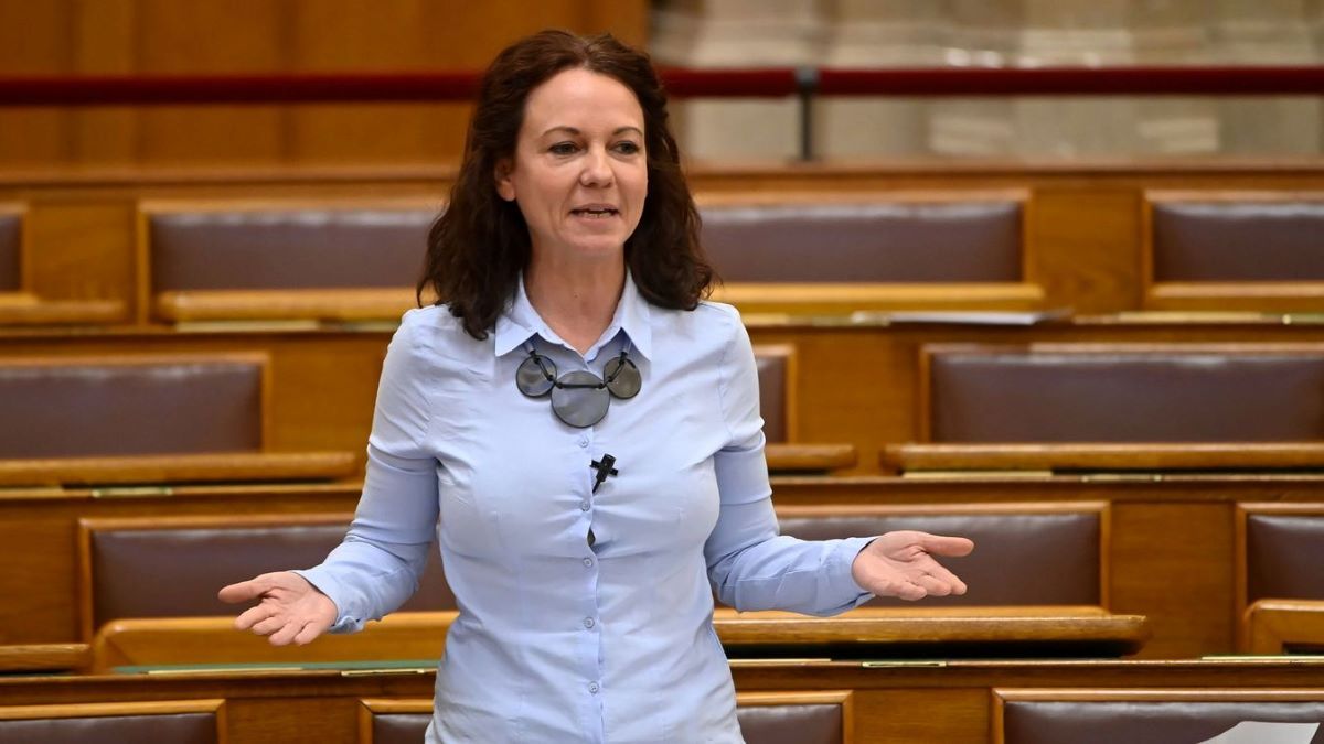 Tegnap Magyar egyértelmű provokáció célpontja volt
