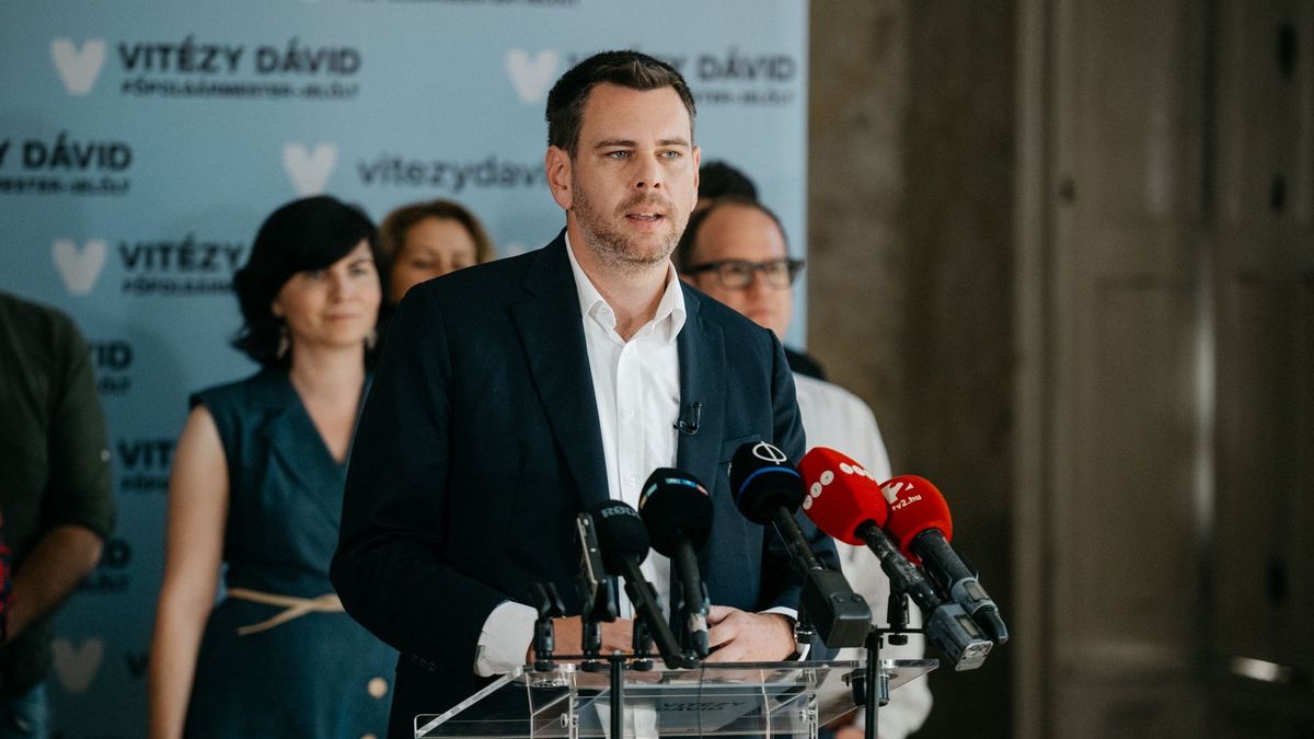 Mi kell ahhoz, hogy Vitézy újraszámoltathassa a szavazatokat?