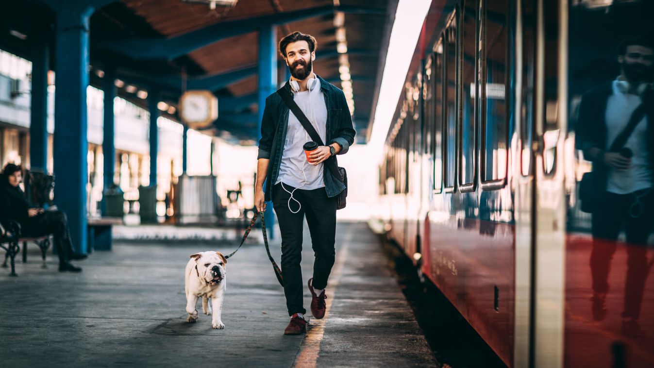 Young,Man,Going,On,Vacation,With,Train.,Handsome,Guy,Walkiing