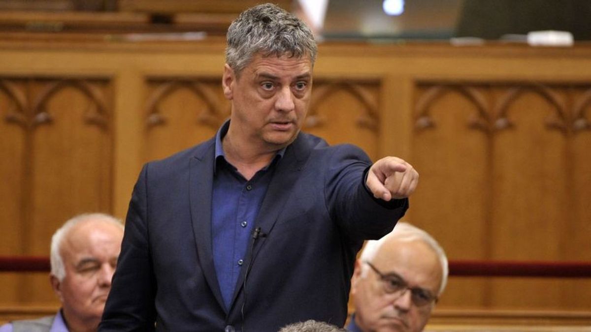Gréczy Zsolt: Nem kevesebb, hanem több Gyurcsány Ferencre van szükség