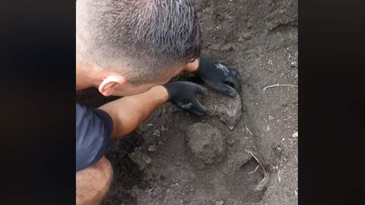Nem fogja kitalálni, mit találtak a Jász Múzeum régészei az ásatáson (VIDEÓ)