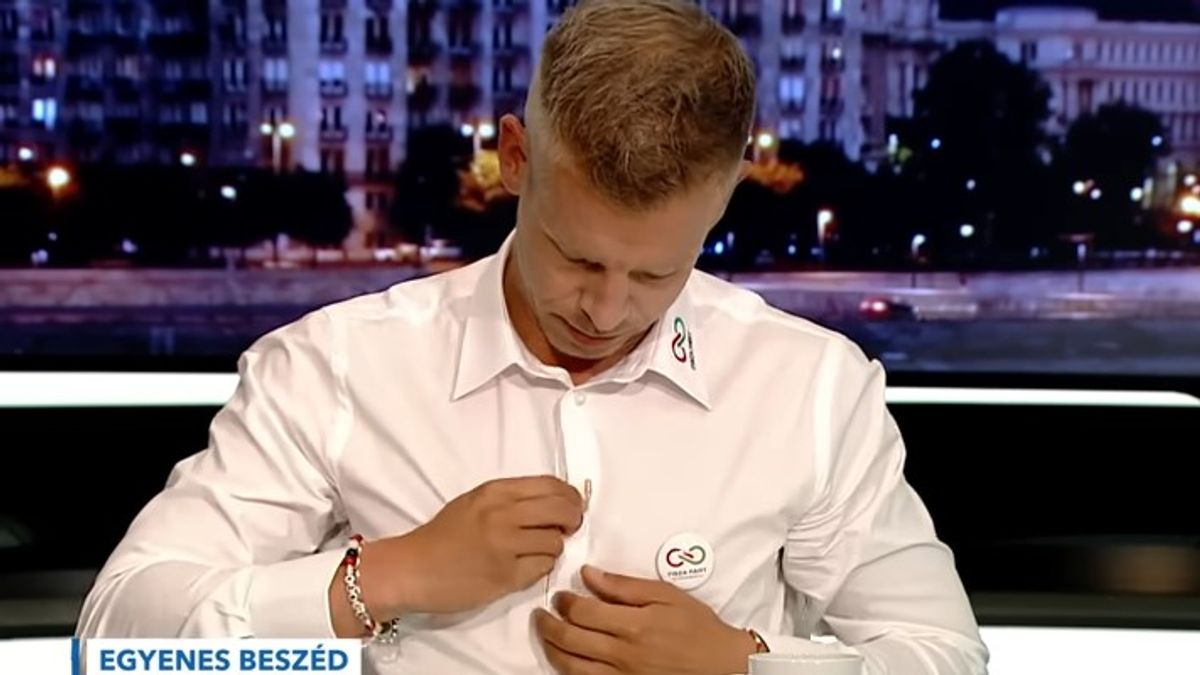 Óriási ötlet Magyar Péteréktől ez az MLM-es „fizess elő a rendszerváltásra” cucc, meg is alkottuk a saját verziónkat „birkamentesítés” céljából – mutatjuk
