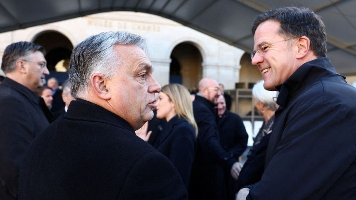 Egyik utcán zsebdiktátor, a másikon Dear Viktor, csuhajja