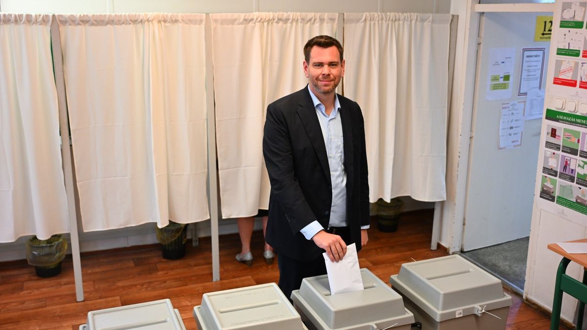 Vitézy a választási bizottság döntéséről: Türelemmel várjuk az újraszámlálás eredményét