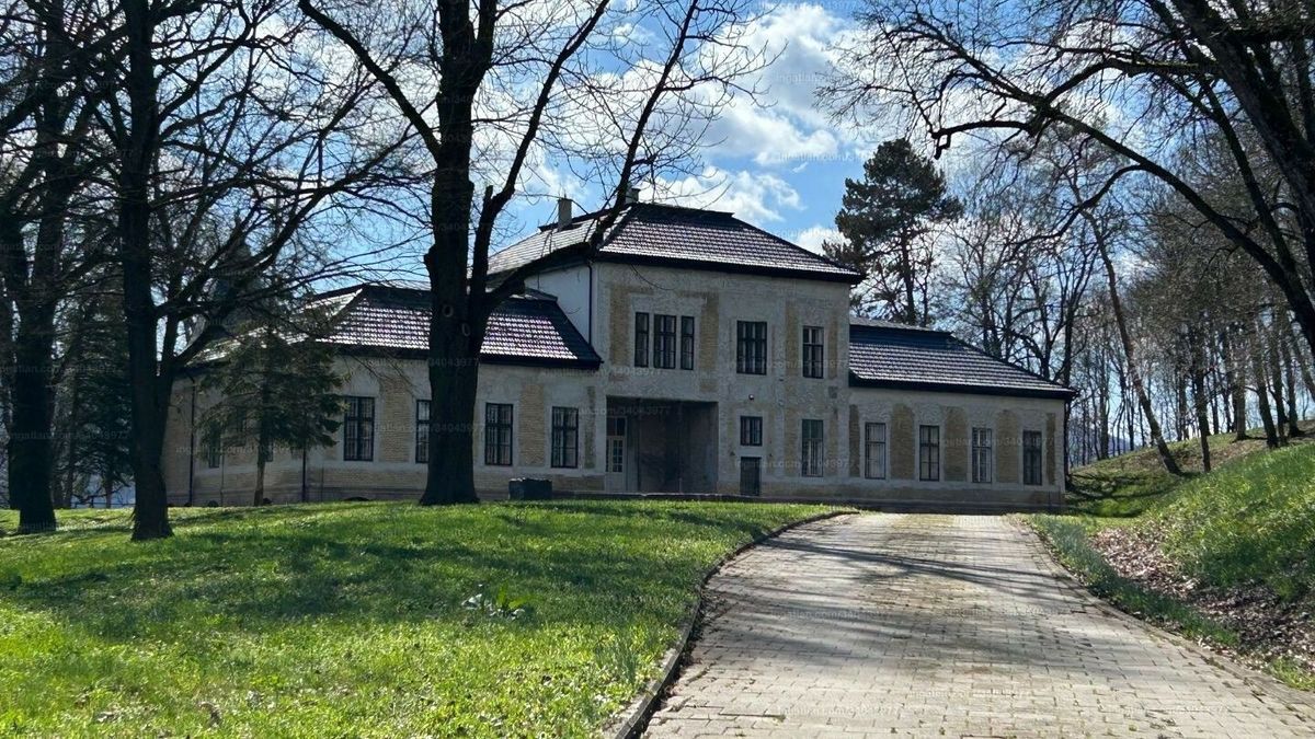 Családi ház áráért hirdetik ezt a kastélyt a Mátra szívében