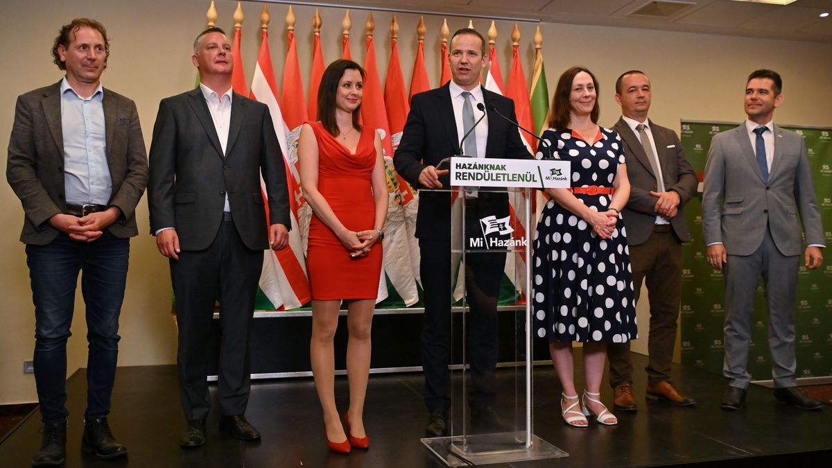 Toroczkai László: Négy párt maradt talpon Magyarországon, a többi megsemmisült