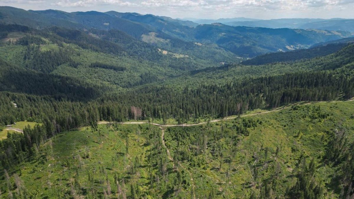 Verespatak megmenekült, de a kanadai cég nem tágít – megsemmisíttetné a washingtoni választottbíróság döntését