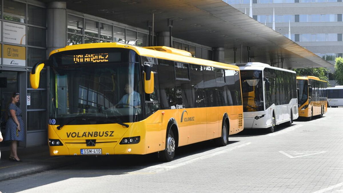 Csavarhúzót döfött a buszsofőrbe egy 70 éves utas