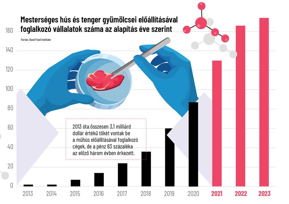 laboratóriumi hús