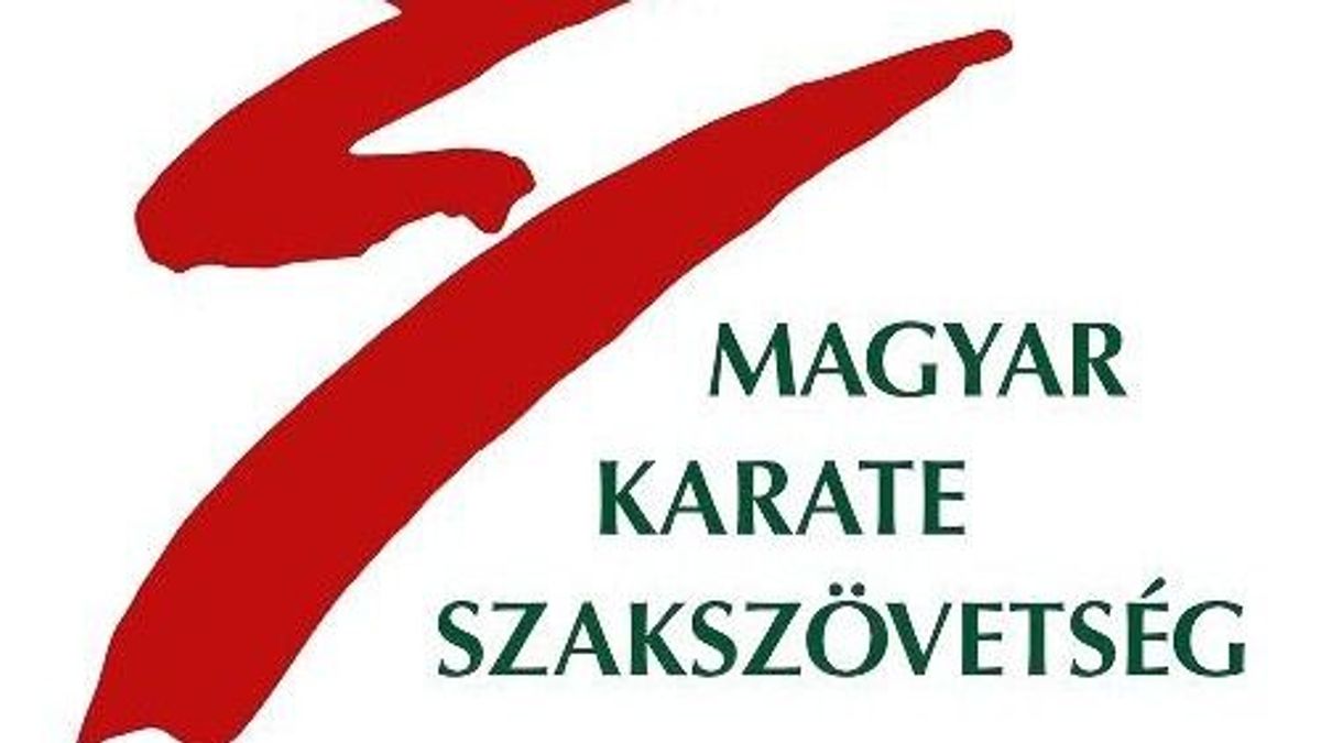 Örökre eltiltották az oktatástól a hétéves kisfiút felrúgó karateedzőt