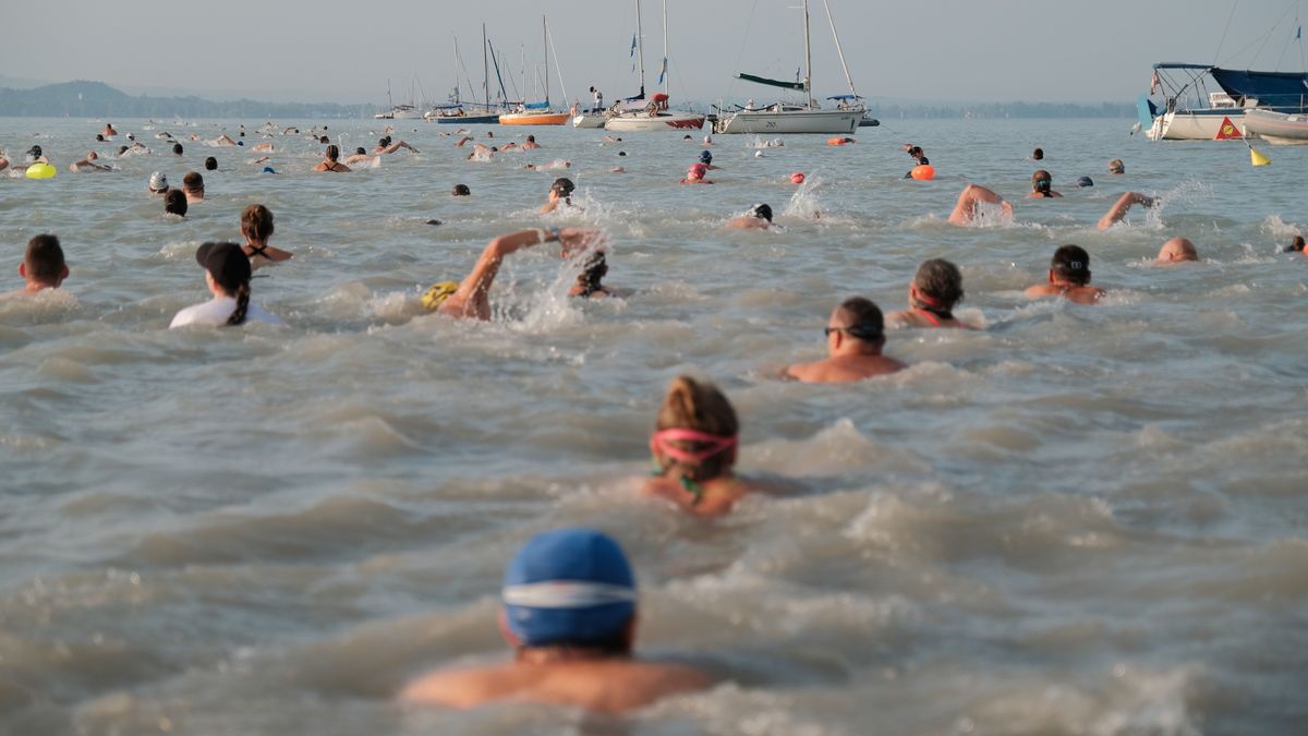 Balaton-átúszás: 51 országból, több mint 1100 településről érkeztek a résztvevők!