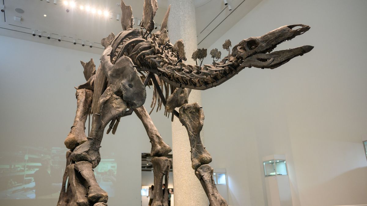 Elkelt a világ legdrágább, és az egyik legteljesebb dinoszaurusz csontváza