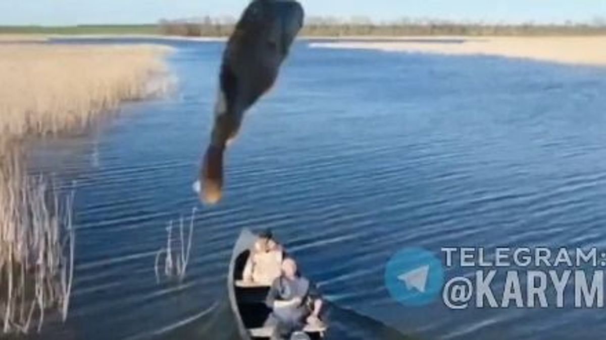 Hal(ál)félelem: Egy ukrán halász egy hallal dobta le az orosz drónt (VIDEÓ)