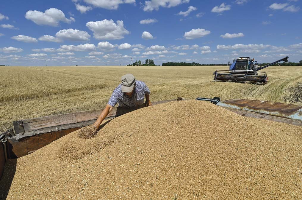 Harvesting winter wheat in northern Zaporizhzhia region