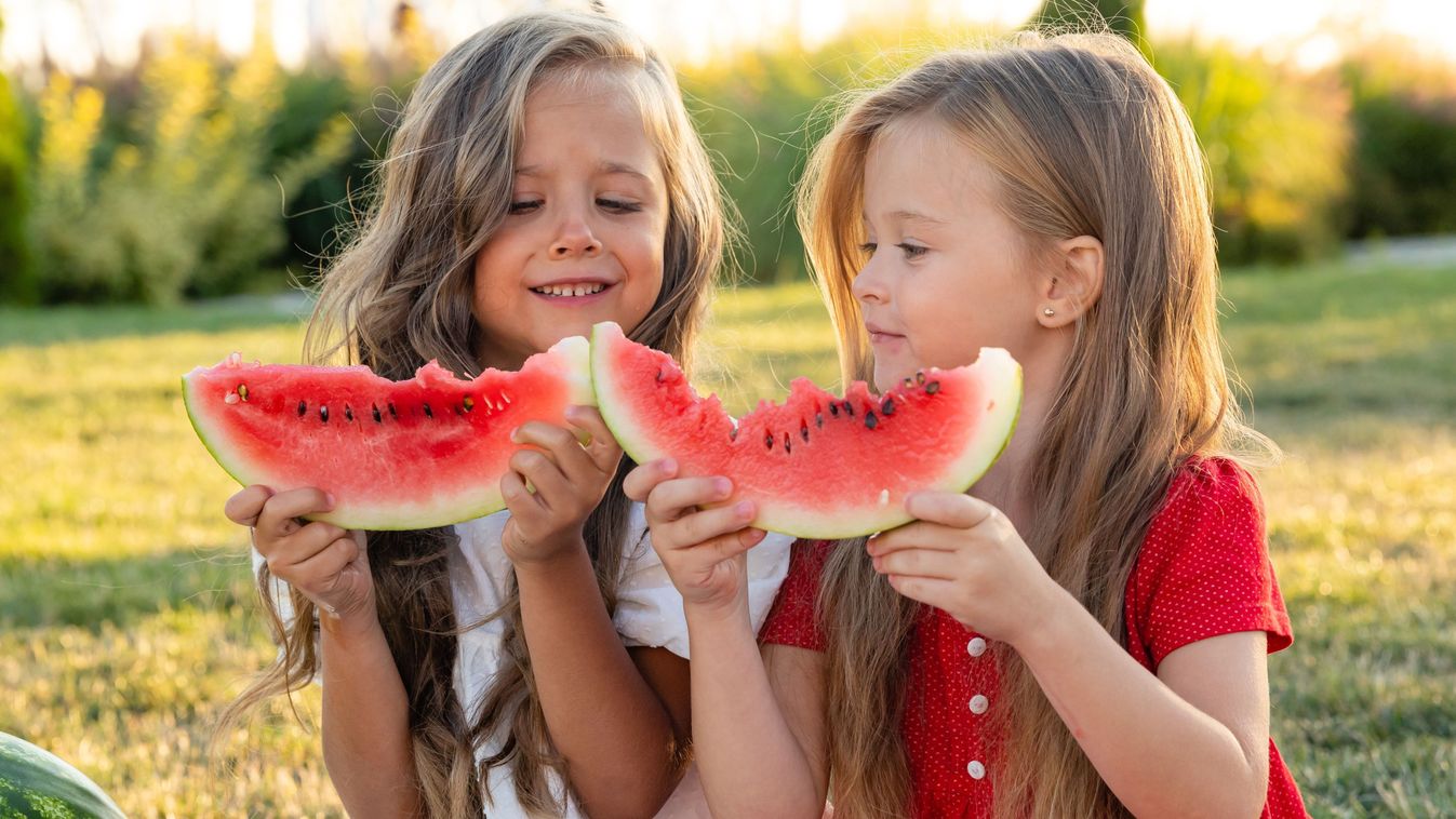 Little,Caucasian,Cute,Girls,Eating,Watermelon,While,Picnic,At,Park.