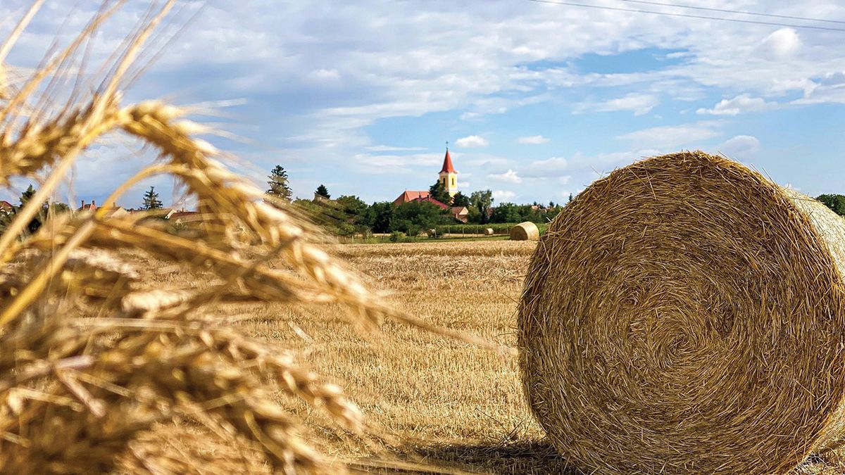 Jézus a bibliai tájakon lépdelt, Buddha a halni képtelen fája alatt ült – amikor ők jöttek, én mindannyiszor a kecöli határban sétáltam