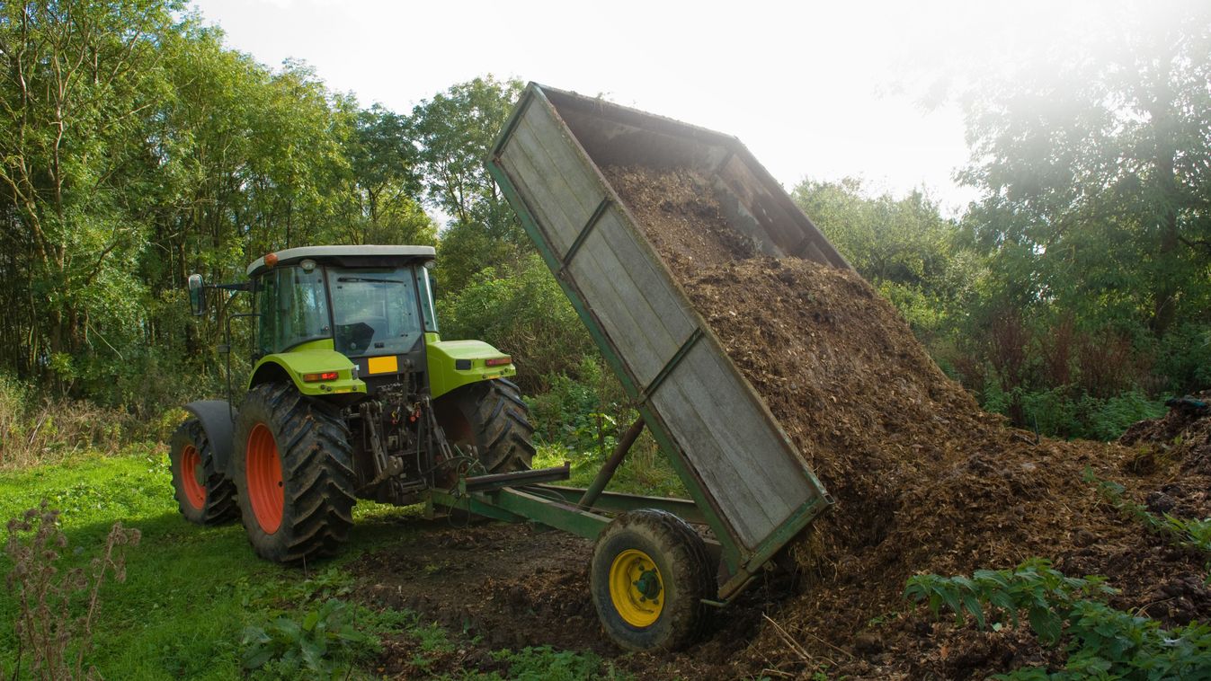 Tractor and trailer tipping manure in field